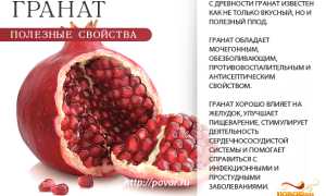 Чем может удивить гранат для мужского здоровья