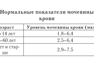 Urea в анализе крови что это такое