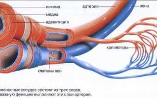 Какие виды кровотечений бывают