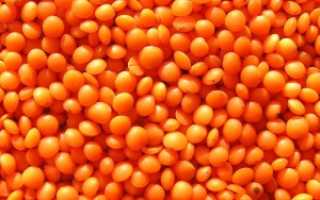 Вред чечевицы и других продуктов при подагре