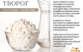 Чем полезен творог для мужчин