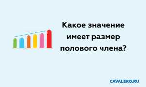 Какое значение имеет размер полового члена