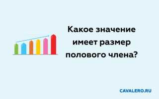 Какое значение имеет размер полового члена
