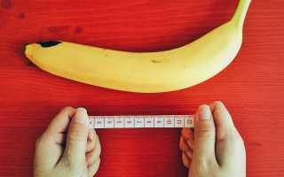8 удивительных фактов о пенисе, которые вы не знали