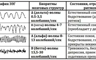 Эхоэнцефалография головного мозга что показывает