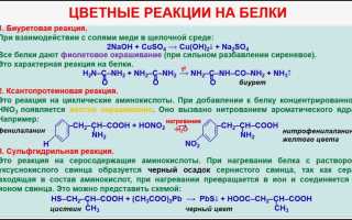 Реактивы на белок