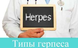 Типы герпеса