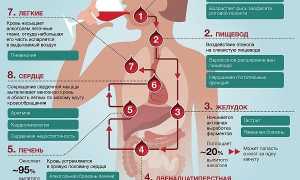 Алкоголизм и импотенция