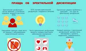 Профилактика эректильной дисфункции