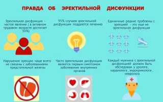 Профилактика эректильной дисфункции