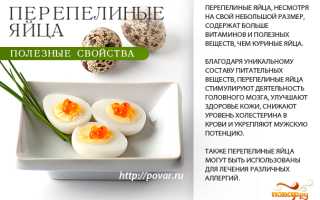 Перепелиные яйца для потенции