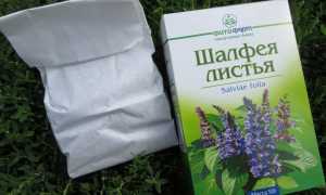 Шалфей для прекращения лактации