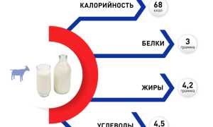 Чем полезно козье молоко для мужского здоровья