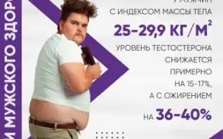 Тестостерон и либидо