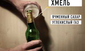 Безалкогольное пиво при грудном вскармливании