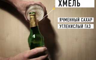 Безалкогольное пиво при грудном вскармливании
