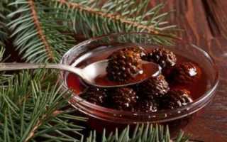Варенье из шишек сосны