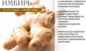 Имбирь для лучшей потенции