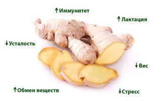 Имбирь при грудном вскармливании: имбирный чай и маринованный корень