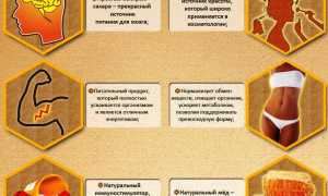 Влияние меда на повышение потенции
