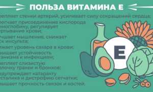 Витамин E для чего полезен мужчинам