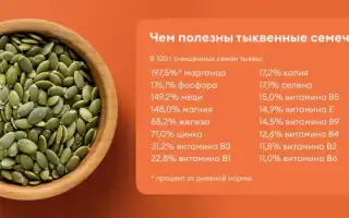 Польза и вред тыквенных семечек для мужчин