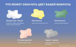 Отчего появляется зеленая мокрота при кашле? Как ее лечить?