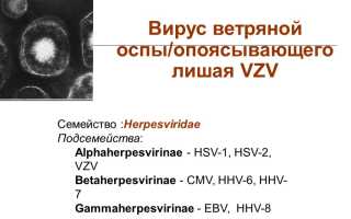 Ветряная оспа и опоясывающий лишай