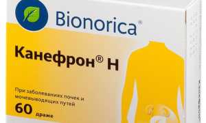 Канефрон при грудном вскармливании