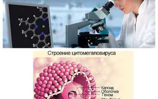 Анализ на цитомегаловирус