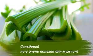 Чем полезен сельдерей для мужчин