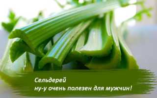 Чем полезен сельдерей для мужчин