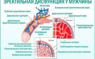 Причины и симптомы эректильной дисфункции