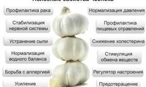 Чем полезен чеснок для мужчин