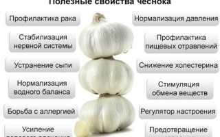 Чем полезен чеснок для мужчин