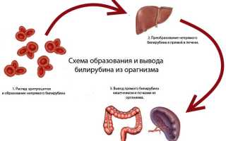 Гемолизированная сыворотка