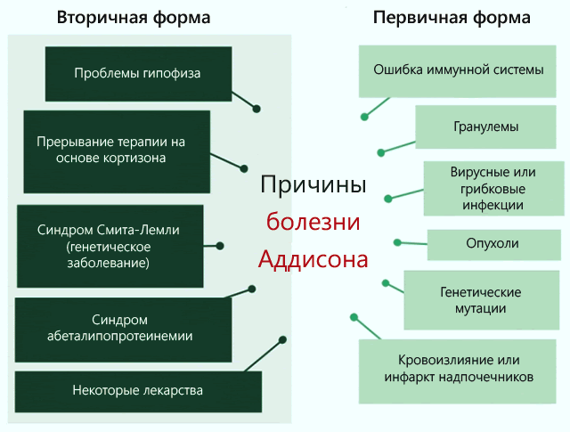 Чем лечить болезнь Аддисона