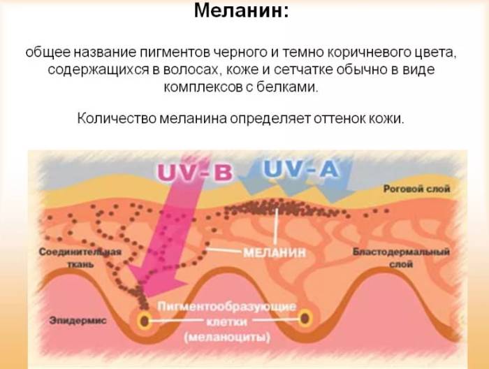 Меланин
