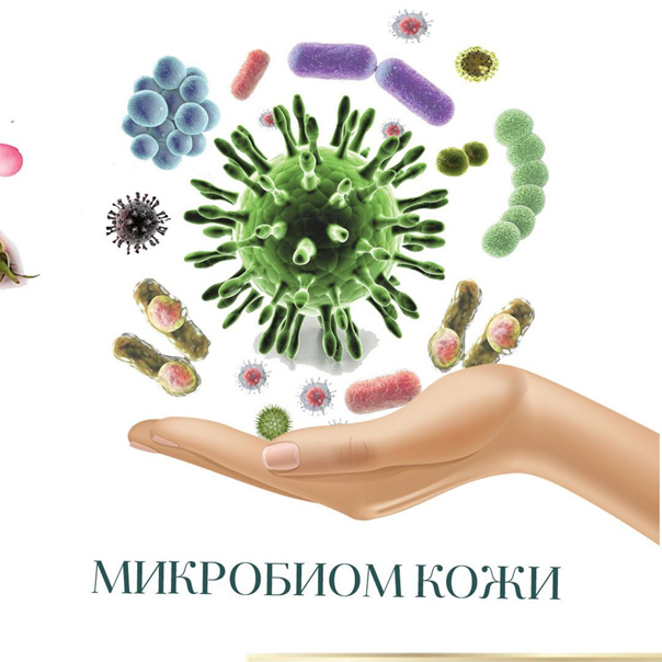 Микробиом кожи