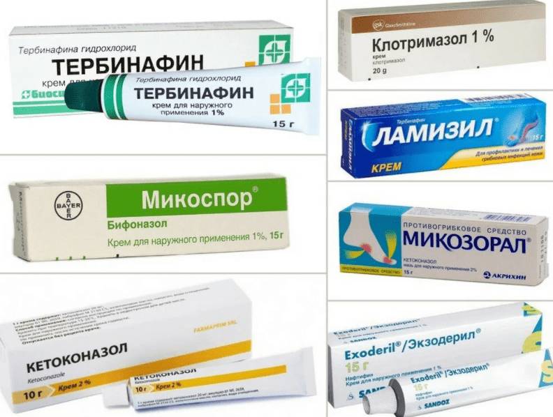 кремы от грибка кожи названия