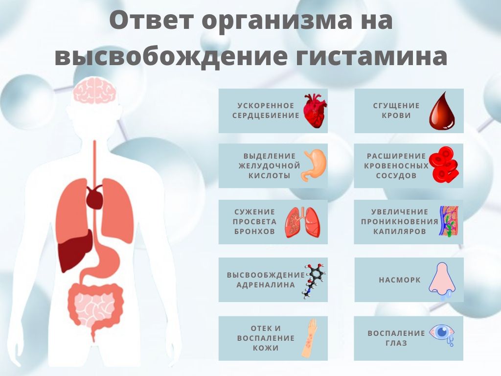 меню гистаминовой диеты