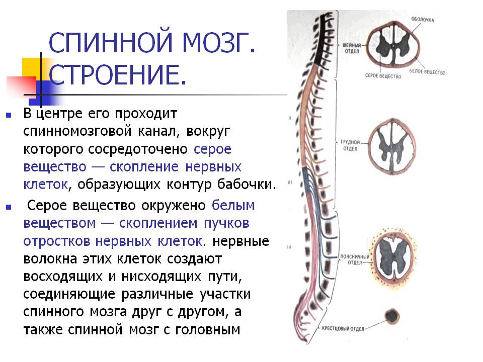ревматоидный артрит