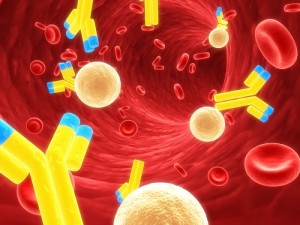 антитела призванные бороться с инфекцией