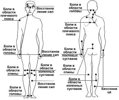 точки акупунктуры