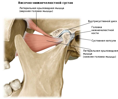 внчс