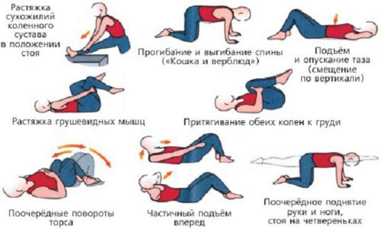 лечебная гимнастика при геморрое-комплекс упражнений 2