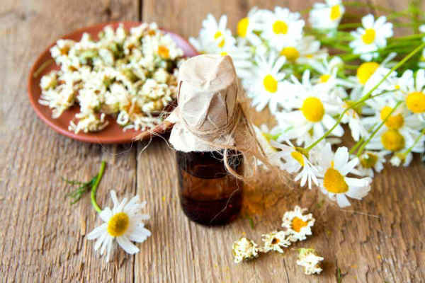 лечение экземы эфирными маслами-ромашка