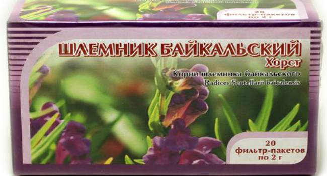 шлемник байкальский-свойства-применение