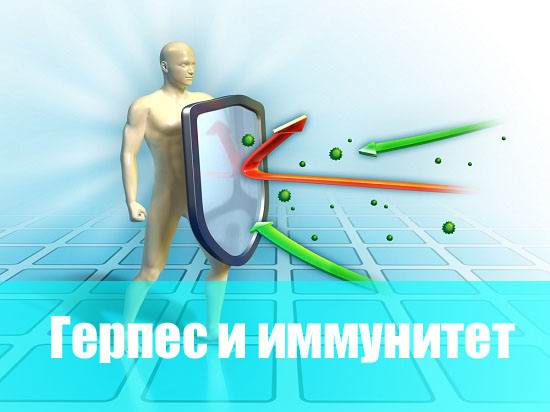 Герпес и иммунитет