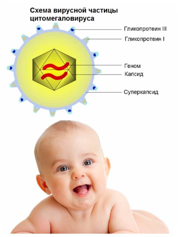 Цитомегаловирус у ребенка